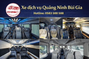 Nội Thất đẳng cấp thương gia