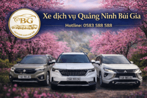 Bùi Gia – Xe chạy là yên tâm
